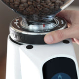 Fiorenzato AllGround All Purpose Home Coffee Grinder